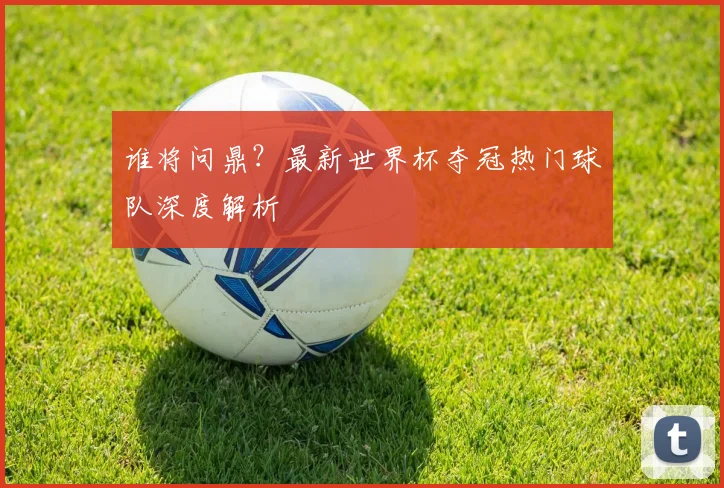 谁将问鼎？最新世界杯夺冠热门球队深度解析